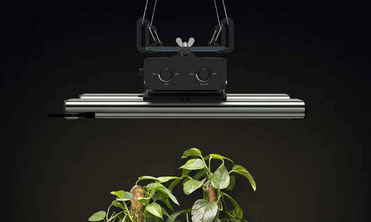 simple grow